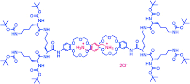 Supramolecular dendrimer formed by interactions between crown ethers and protonated amines.