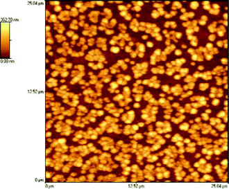 The vesicular phase of the peptidyl-RNA sample.