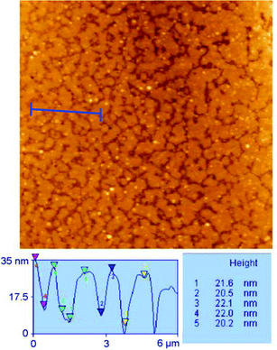 SB formation phase by vesicle fusion; topographic analysis of the bilayers—the sample can be seen to be slightly tilted with regard to the measuring line.