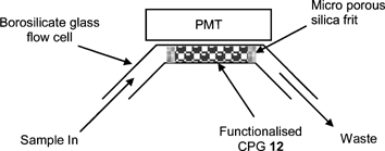 Flow cell used for the evaluation of functionalised CPG 12.