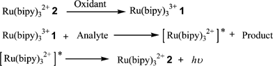 Mechanism of [Ru(bipy)3]2+2 regeneration.