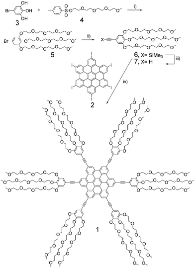 i) K2CO3, DMF, 60 °C, 75%; ii) trimethylsilylacetylene, Pd(PPh3)2Cl2–CuI, triethylamine, 80 °C; iii) K2CO3, MeOH, 82% for ii) and iii) steps; iv) Pd(PPh3)4–CuI, piperidine, 50 °C, 72%.