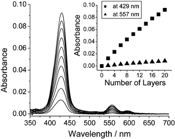 UV/Vis spectrum of multilayers of porphyrin. The inset represents the plot of increase of absorbance at Soret band (429 nm) and Q band (557 nm) versus the number of layers.