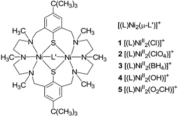 Complexes 1–5.