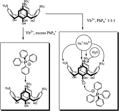 Schematic diagram showing the structural types of para-sulfonato-calix[4]arene interaction with Ph4P+ and ytterbium cations, depending on the relative amounts of the components.