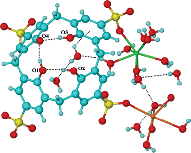 Projection of calixarene and associated water molecules plus metal ions. Important distances (Å): O1⋯H–O2 1.89 (O1⋯O2 2.703), O4⋯O1–H 1.68 (O1⋯O4 2.505), O4⋯H–O3 1.67 (O4⋯O3 2.503), O2⋯O3 2.946; dotted lines represent H-bonds.