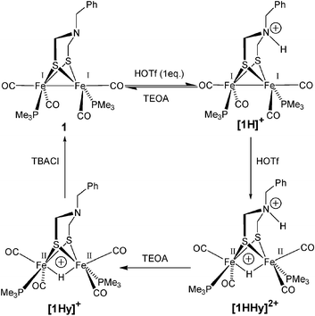 Protonation reactions of 1 in acetonitrile solution with triflic acid (HOTf). Deprotonation of the adt nitrogen with triethanolamine (TEOA) and of the hydride with tetrabutylammonium chloride (TBACl).