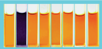 Color changes observed for 1 in MeCN solution (5 × 10−5 M) upon addition of one mole equivalent of anions as TBA salts: From left to right: free 1, F−, Cl−, Br−, I−, HSO4−, NO3− and H2PO4−.