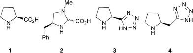 Proline and related organocatalysts.