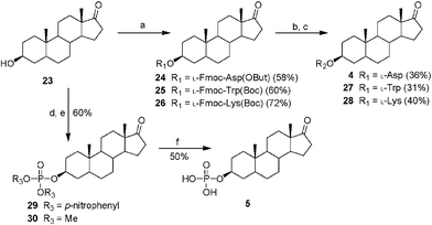 (a) Protected amino acid, DCC, DMAP, DCM, r.t., 30 min; (b) DBU, DCM, r.t., 30 min; (c) trifluoroacetic acid (TFA), 2% H2O or 4 N HCl, MeOH, r.t., 1 h; (d) P(O)(p-nitrophenyl)3, DBU, DCM, r.t., 15 h; (e) DBU, MeOH, DCM, r.t., 15 h; (f) bromotrimethylsilane, DCM, r.t., 30 min.