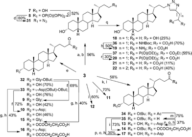 (a) MeOH, Amberlite IR120, 80 °C, 12 h; (b) LAH, THF, 0 °C → r.t., 10 min; (c) DPPA, DBU, THF, r.t., 10 h; (d)NaN3, TBAI, 15-crown-5, 110 °C, 15 h; (e) HBTU, DIPEA, H-Gly-OBut·HCl or l-Asp, N,N-dimethylformamide (DMF), r.t., 30 min; (f) TFA, DCM, r.t., 1 h; (g) succinic anhydride, DMAP, pyridine, 80 °C, 15 h; (h) TFA, 2% H2O, r.t., 1 h; (i) succinic anhydride, DMAP, pyridine, 60 °C, 15 h; (j) CrO3, acetic acid, 100 °C, 30 min; (k) acetic anhydride, pyridine, r.t., 5 h; (l) t-BuOH, DMAP, DCC, DCM, r.t., 30 min; (m) NaOCH3, MeOH, r.t., 2 h; (n) Fmoc-l-Asp(OBut)-OH, DMAP, DCC, DCM, r.t., 30 min; (o) DBU, DCM, r.t., 1 h; (p) Fmoc-d-Asp(OBut)-OH, DMAP, DCC, DCM, r.t., 30 min; (q) alkyne, CuSO4·5H2O, sodium ascorbate, THF/H2O (1 ∶ 1), r.t., 8 h; (r) NaOH, EtOH/H2O (1 ∶ 1), r.t., 5 h.