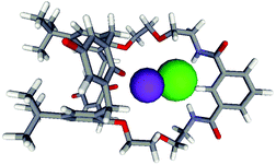 Optimised CAChe model of 1·KCl recognition. Potassium is in purple, chloride in green.