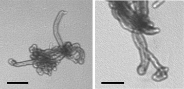 TEM images of MWNT 5 and 7. The scale bar corresponds to 200 nm.