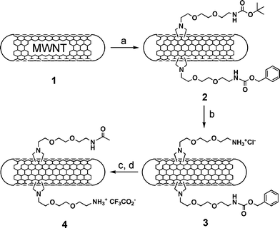 (a) R–NHCH2COOH/(CH2O)n in DMF, 130 °C; (b) HCl 4 M in dioxane; (c) Ac2O; (d) TFA/TMSOTf/para-cresol. R = Boc–NH(CH2CH2O)2–CH2CH2– and Z–NH(CH2CH2O)2–CH2CH2–.