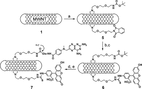 (a) R–NHCH2COOH/(CH2O)n in DMF, 130 °C; (b) hydrazine in EtOH; (c) FITC in DMF; (d) HCl 4 M in dioxane; (e) MTX, Bop/DIEA in DMF. R = Boc–NH(CH2CH2O)2–CH2CH2– and Pht–N(CH2CH2O)2–CH2CH2–.