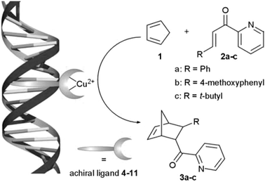 Schematic representation of the asymmetric Diels–Alder reaction catalyzed by a DNA-based catalyst.