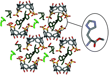 Crystal packing of the histidine para-sulfonato-calix[4]arene complex showing the esterification of histidine (in dark green) in the presence of methanol (non-esterified histidine in light green), unpublished results.37