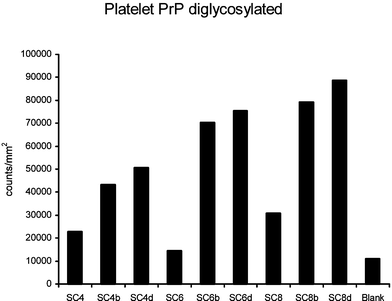 Effect of calixarene derivatives on the Western Blot detection of PrPSC.