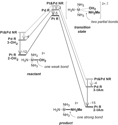 Non-relativistic (NR) and relativistic (R) free energy profiles for the reaction of 2-OH2
					(Pt) and 3-OH2
					(Pd) with MeNH2
					(“tAm”). Arrows: relativistic stabilization of the bond between {M(NH3)3}2+ and OH2 and/or MeNH2
					(values in kcal mol−1).