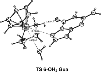 Structure of the transition state for the reaction of 6-OH2 with Gua.