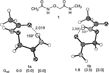 Structures of α-aminoxy amide 1. The values of Grel (kcal mol−1) were calculated using the HF/6-31G* (MP2/6-31G*) and [HF/6-31G* CHCl3 solvation] models. Reprinted with permission from reference 15. Copyright 1996 American Chemical Society.