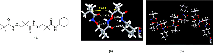 (a) Solid-state structure and (b) solid-state packing pattern of tripeptide 16. Part (a) reprinted with permission from reference 20. Copyright 2002 American Chemical Society.
