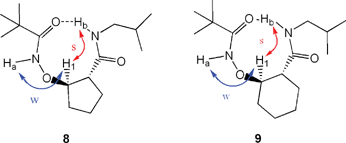 Summary of NOEs observed for compounds 8 and 9 in CDCl3 (s, strong NOE; w, weak NOE).