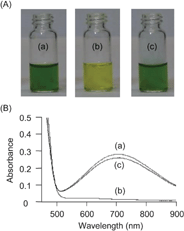 (A) Photograph depicting the color changes that occur to the solution [MeCN/CHCl3 (5 ∶ 1), 4 mM, 298 K] during the switching process and (B) the corresponding partial UV-Vis spectra [MeCN/CHCl3 (5 ∶ 1), 2 mM, 298 K] of (a) an equimolar mixture of 4-H·3PF6 and 6, (b) the mixture obtained after adding Et3N (2 equiv) to solution (a), and (c) the mixture obtained after adding TFA (2 equiv) to solution (b).