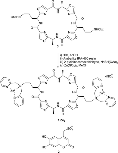 scheme, filename = b606917g-s1.gif