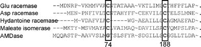 Amino acid homology between some racemases and AMDase.