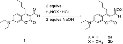 Preparation of oximes 2a and 2b.