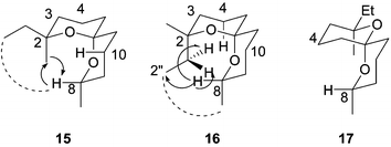 NOE interactions in spiroacetal isomers.