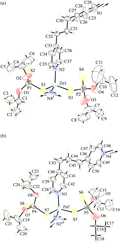 Coordination geometry for the two independent zinc centres in the polymeric structure of [Zn(S2P(OiPr)2)2(4-NC5H4(CH2)3C5H4N-4)]∞ (5). Symmetry operation i: 1 +
						x, y, z and ii: −1 +
						x, y, z.