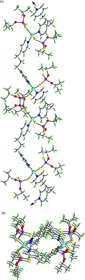 Two views of the polymeric structure of [Zn(S2P(OiPr)2)2(4-NC5H4(CH2)3C5H4N-4)]∞ (5). (a) Viewed down the c-direction and (b) viewed approximately down the a-direction. Click here to access a 3D image of Fig. 7.