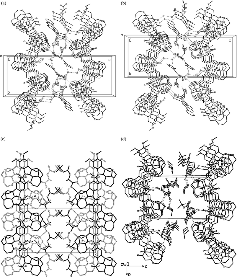 Molecular packing of (a) 1, (b) 2, (c) 3 and (d) 4. Along [100] direction similar ribbons of brucinium cations construct corrugated (1, 2 and 4) and puckered sheets (3) (consecutive corrugated ribbons of puckered sheet are distinguished by solid and blank line). For clarity hydrogen atoms are omitted.