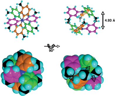 Skeletal and space-filling representations of the centrosymmetric sixfold aryl embrace (EF)6 between a pair of 333TTA molecules, viewed along and normal to the N⋯N vector. The three rings on each molecule are coloured green, orange and magenta, and all methyl C atoms are black: N blue. The symmetry of the embrace is close to 3̄. Each of the six EF local interactions that comprise the embrace involves 2-C–H and 3-methyl C–H of one tolyl group directed towards the face of a tolyl ring on the other molecule: the three EF interactions evident on the lower right picture are marked with grey arrows.