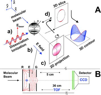 A: The imaging approach for measuring Newton spheres from photodissociation. (a) Photodissociation of molecules in a molecular beam using a linearly polarized laser with the polarization direction parallel to the detector face. (b) Conversion of the photofragment molecules making up the Newton spheres into ions by laser ionization. (c) Projection of the ion spheres onto a two-dimensional (2-D) detector. (d) Mathematical transformation of the 2-D image back to the three-dimensional data of step (a). This slice through the middle of the Newton sphere is displayed in (d) as either a false colour 2-D diagram or 3-D contour diagram. With experimental slicing techniques it is possible to avoid step (d). B: Apparatus layout showing the electrostatic lens used for velocity map imaging of photodissociation. A skimmed molecular beam passes through a small hole in the repeller (R) plate. Laser beam(s) cross the molecular beam between the repeller and extractor (E) plates. Field lines are shown for the electrostatic immersion lens, which is created by open, flat, annular electrodes. Ions formed are accelerated past the ground (G) electrode and fly through the time-of-flight tube to the imaging detector, which is monitored by a CCD camera. The dimensions of a typical apparatus are shown, with electrostatic lens spacing of 15 mm and flight tube length 360 mm.
