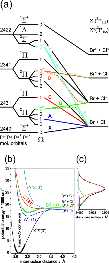 (a) Diabatic/adiabatic correlation diagram for BrCl. The left hand columns show the occupancy of the valence molecular orbitals (pσpπ pπ*pσ*) for the various electronic configurations, the term symbol of the electronic state and its projection quantum number Ω. Diabatic and adiabatic correlations are shown as solid (—) and dashed () lines, respectively. (b) Diabatic potential energy curves for the X, A, B, C and Y states of BrCl, using the same colour scheme as for the diabatic correlations in (a). (c) Room temperature absorption spectrum of BrCl, illustrating its deconvolution into partial cross-sections associated with A–X, B–X and C–X excitations, colour coded so as to match the relevant excited state potentials in (b). (Adapted from ref. 55 and 208).