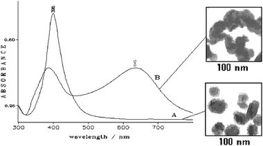 UV-visible absorption spectra of Ag colloids in the absence of ligand (A) and with 10−3 M pyridine (B). The corresponding transmission electron microscopy (TEM) images are reported as insets.