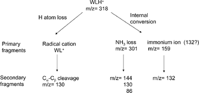 scheme, filename = b510406h-s1.gif