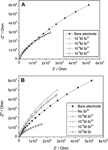 Nyquist plots obtained with an Au polycrystalline electrode at −0.40 V vs. Hg/HgSO4 in electrolyte solution containing 0.1 M NaNO3, and various concentrations of Sr(NO3)2. (A) Au coated with 1-thioglycerol (TG); (B) Au electrode coated with 1,4-dithiothreitol (DTT).