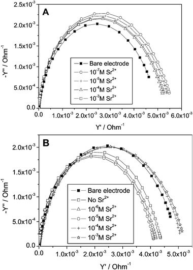 Admittance plots drawn from the impedance data (Fig. 2); (A) TG and (B) DTT.