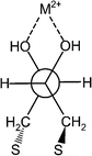 Newman projection of threo-DTT, which is bound onto a surface and binds a metal ion.