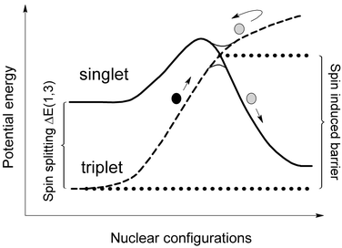 Crossing between singlet and triplet states leading to a spin-induced energy barrier, whose height depends on the spin-state splitting.