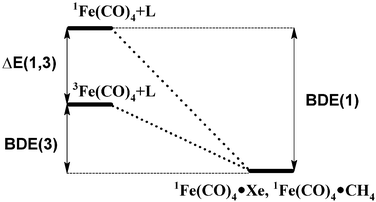 Thermochemical diagram showing the connection between Fe(CO)4(L)
					(L = Xe or CH4) bond energies and singlet–triplet spin state splitting.