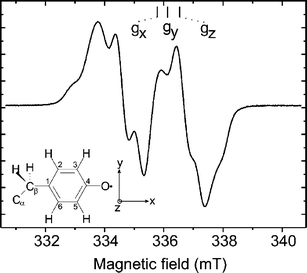 cw-EPR (X-band) of the tyrosyl radical of mouse RNR recorded at T = 40 K; νmw = 9.4314 GHz; microwave power Pmw 0.2 mW; scan time 84 s. The structure of the tyrosyl radical is shown with numbering scheme together with the molecular axis system.