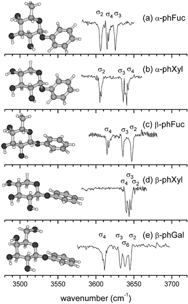 Comparison of the near IR ion dip spectra of the most stable conformers of (a) α-PhFuc, (b) α-PhXyl,17 (c) β-PhFuc, (d) β-PhXyl17 and (e) β-PhGal.16 In each one, the peripheral OH groups are oriented in a counter-clockwise hydrogen bonded network, OH4 → OH3 → OH2 → O1.