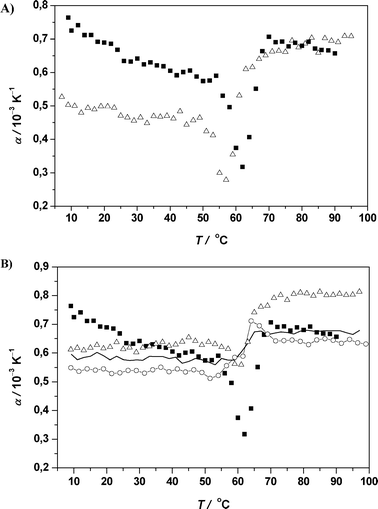 (A) Temperature dependence of the apparent thermal expansion coefficient α of RNase A (protein concentration 5 mg mL−1) in 10 mM phosphate buffer solution at pH 5.5 (filled squares) and in 0.5 M GuHCl/10 mM phosphate buffer solution at pH 5.5 (open triangles). (B) Temperature dependence of the apparent thermal expansion coefficient α of RNase A (protein concentration 5 mg mL−1) in 10 mM phosphate buffer solution at pH 5.5 (filled squares) and in 0.5 M (open triangles), 1.5 M (continuous thin line) and 2.5 M Gu2SO4 (open circles) in 10 mM phosphate buffer solution at pH 5.5.