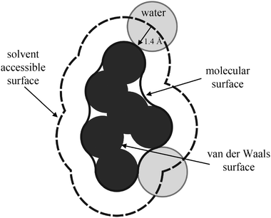 Schematic representation of the solvent accessible, molecular, and van der Waals surfaces of a protein.