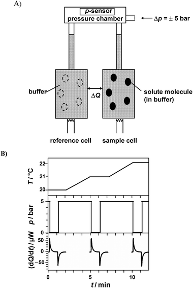 (A) Schematic drawing for the pressure perturbation calorimetry (PPC) experimental setup (adopted from refs. 37 and 38). The open ellipses in the reference cell represent the volume occupied by solvent in this cell, which counterbalances the volume occupied by the solute molecules in the sample (filled ellipses). (B) Time courses of the cell temperature T, pressure p, and the compensation power dQ/dt upon three (out of typically 20–80) pressure jumps (downward and upward). Before each pressure jump, equilibration of the calorimeter in the isothermal mode at the desired temperature (here 20, 21 and 22 °C) takes place. The compensation power returns to the baseline typically within 1 min and integration of the supplied power over time yields the heat consumed or released by the sample. The heat peaks caused by the upward and downward pressure jumps differ in sign but should agree in absolute values. Integration of dQ/dt yields two data points for Q(T) at a given pressure change. After equilibration, the calorimeter is automatically heated or cooled to the next desired temperature and the next compression/decompression cycle is repeated.